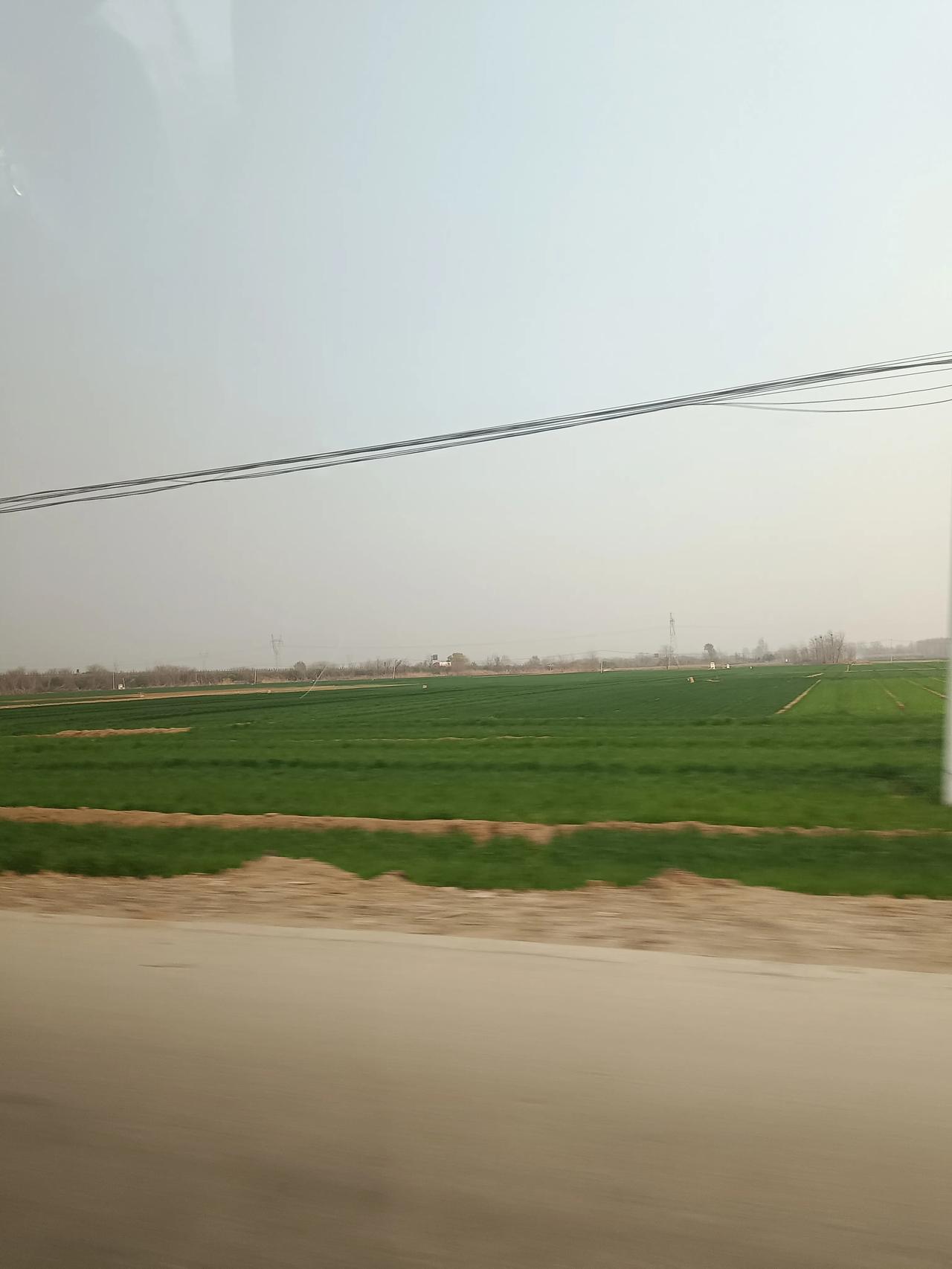 农村大龄男真的慌了，没结婚，没女朋友，没有稳定的工作，没有事业，没有赚大钱的能力