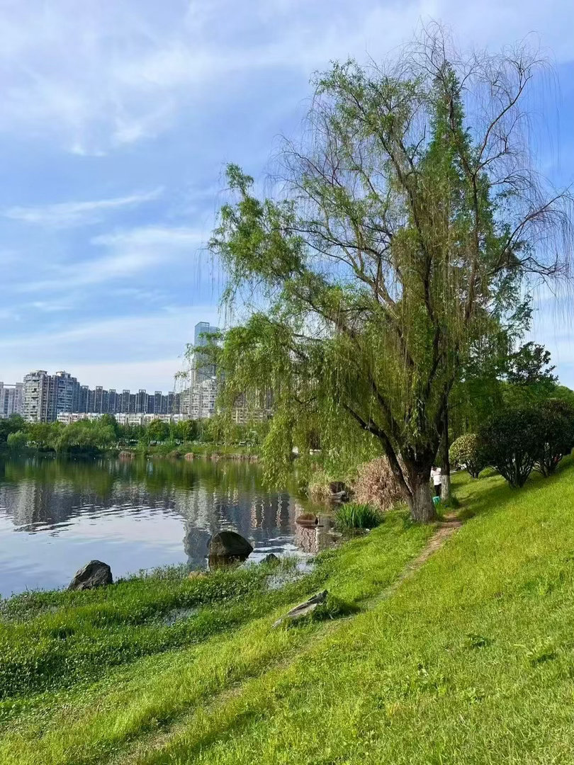 早安 𝒢𝑜𝑜𝒹 𝓂𝑜𝓇𝓃𝒾𝓃𝑔◞🦋总有一处风景， 惊艳了
