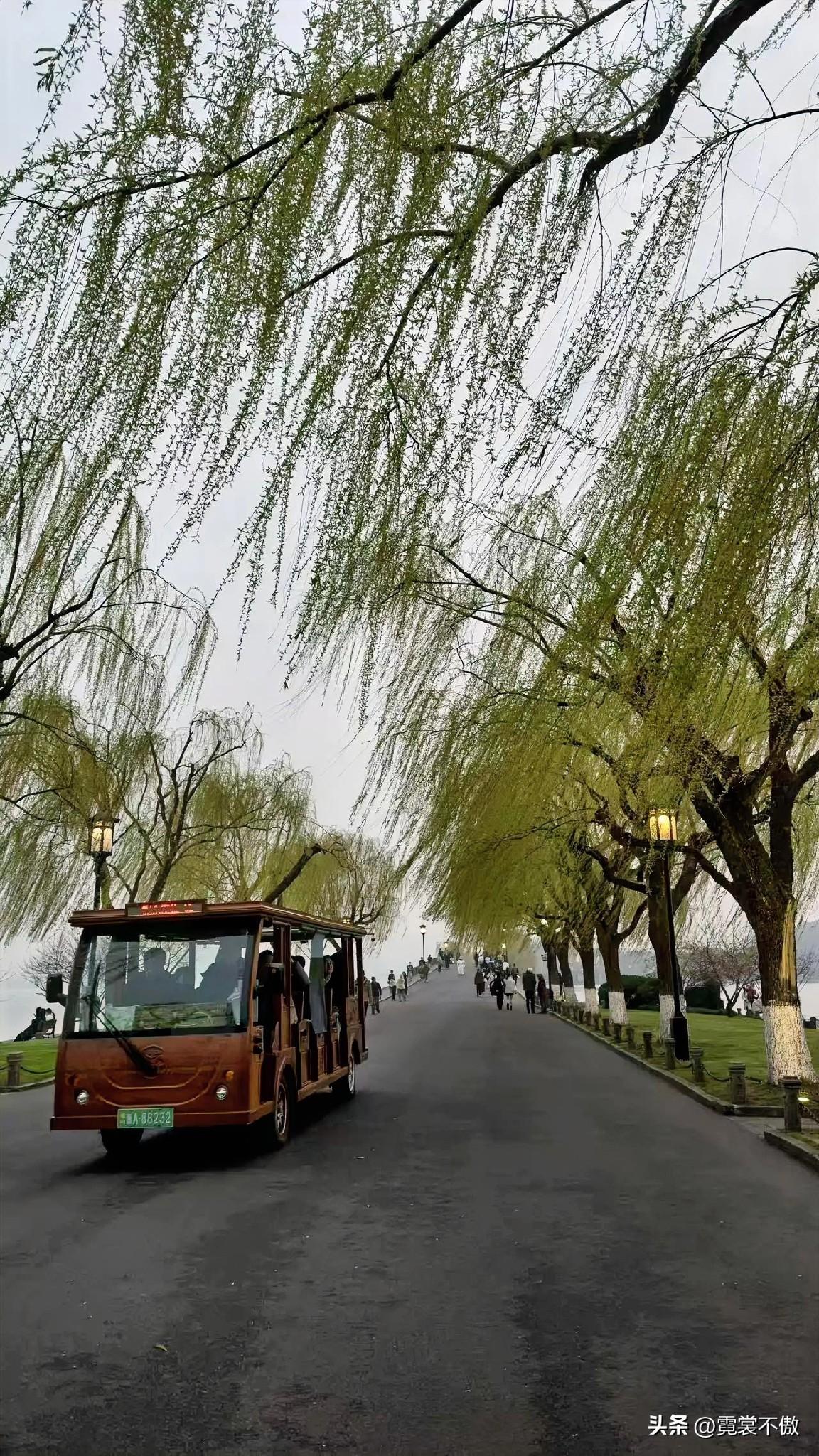 春风又绿江南岸
美女发丝抚我脸
飘飘荡荡根根柔
伸手欲抓飞云间