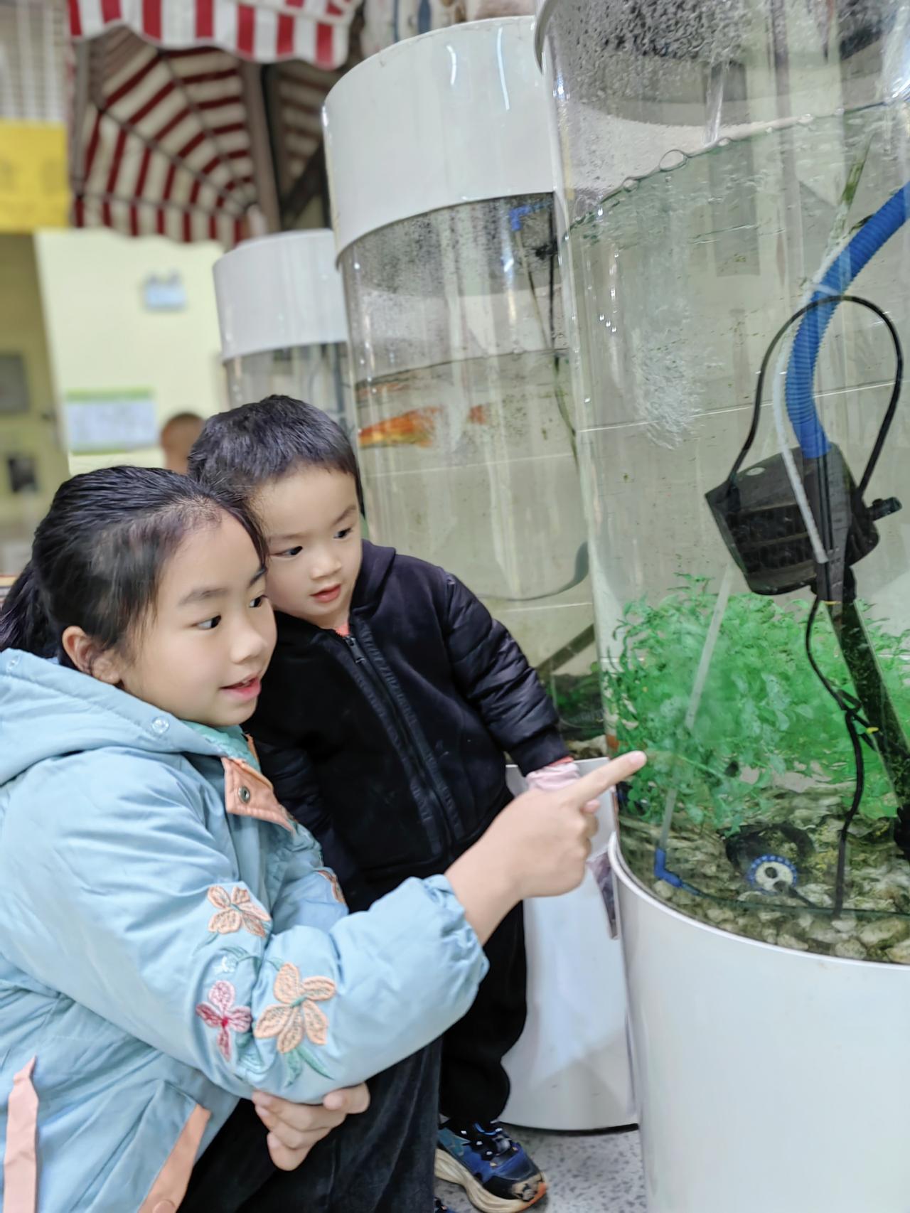 幼儿园活动体验日[笑]
​
​老师：小墨，这儿好玩吗？
​
​小宝：好玩。
​