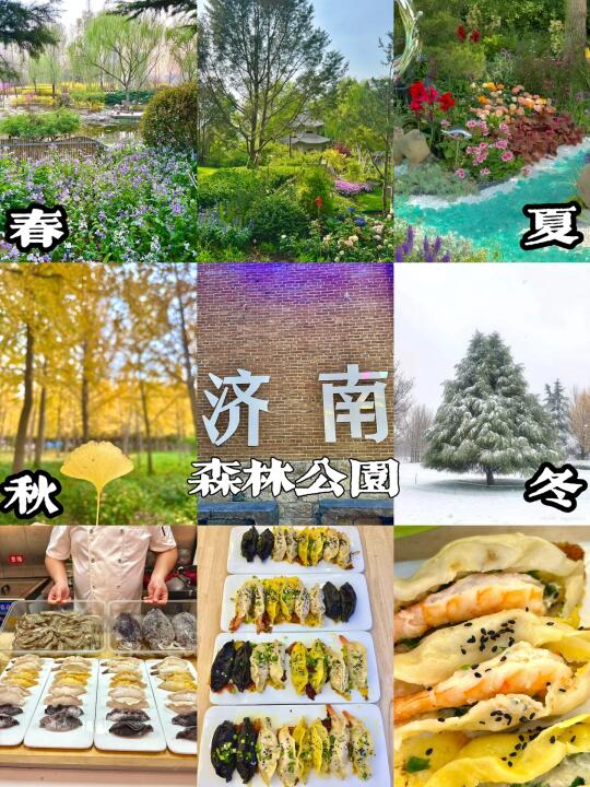 济南森林公园的春夏秋冬游玩攻略