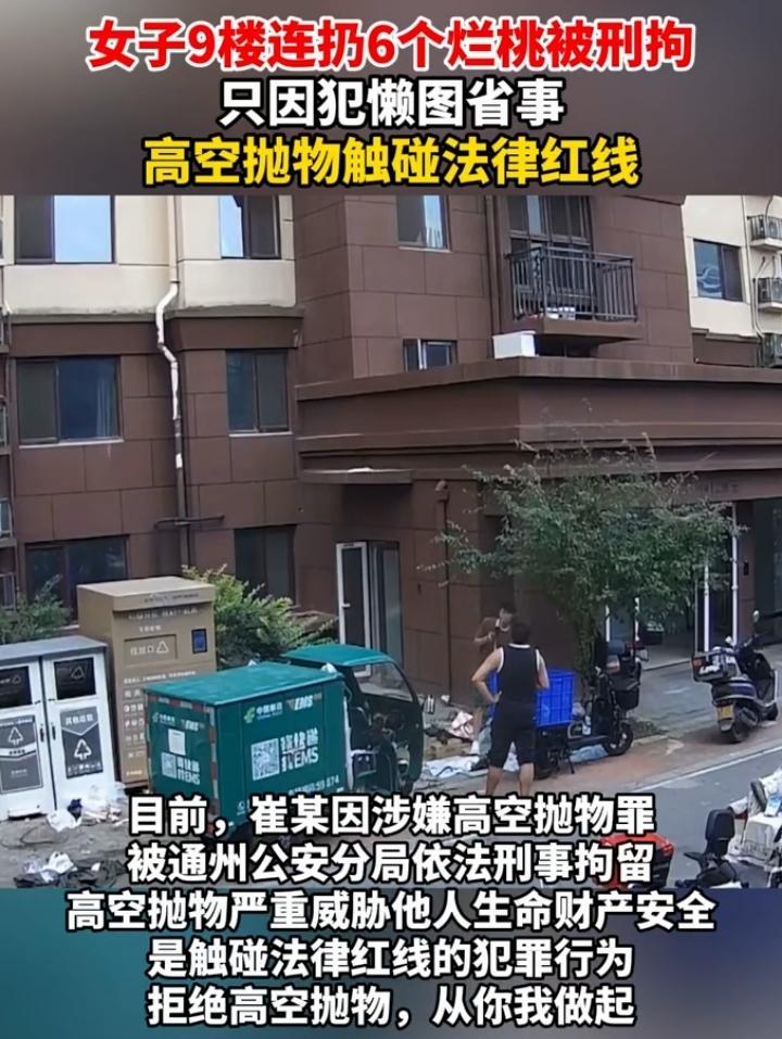 女子9楼高空扔烂桃被刑拘短讯（约200字）
 
近日北京通州一名女子崔某为贪图省