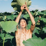 桃花冻热聚社会