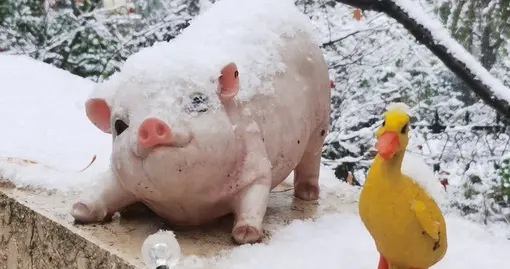 北晚新视觉网 12日北京大部分地区有雪，别激动，看雪得会挑