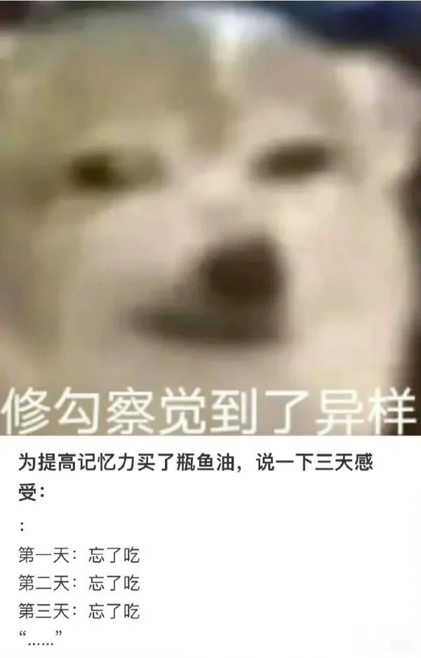 为了提高记忆力哈哈哈哈哈搞笑图片梗图合集