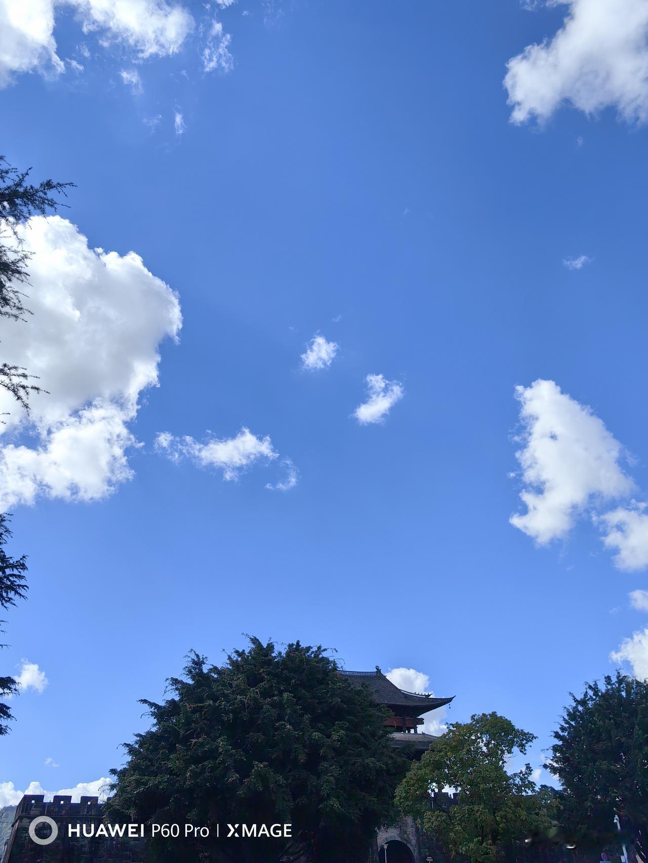 人生都是客，万事莫执着！你认同吗万事自有定数，强求不得、挽留不住，看淡执念，守好