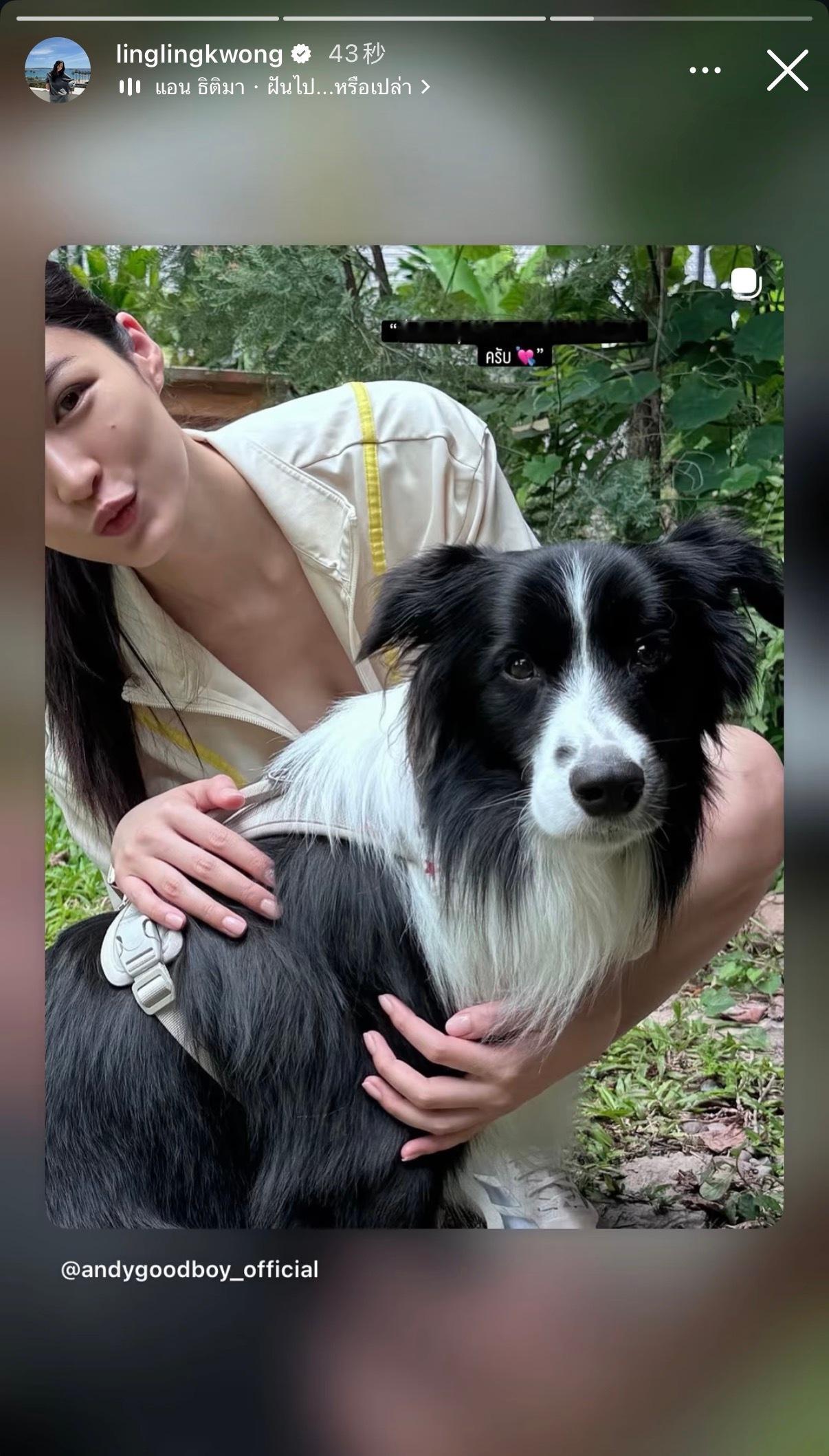 邝玲玲ig story更新今天和ann姐的狗狗一起玩了邝玲玲回复：“Andy，好