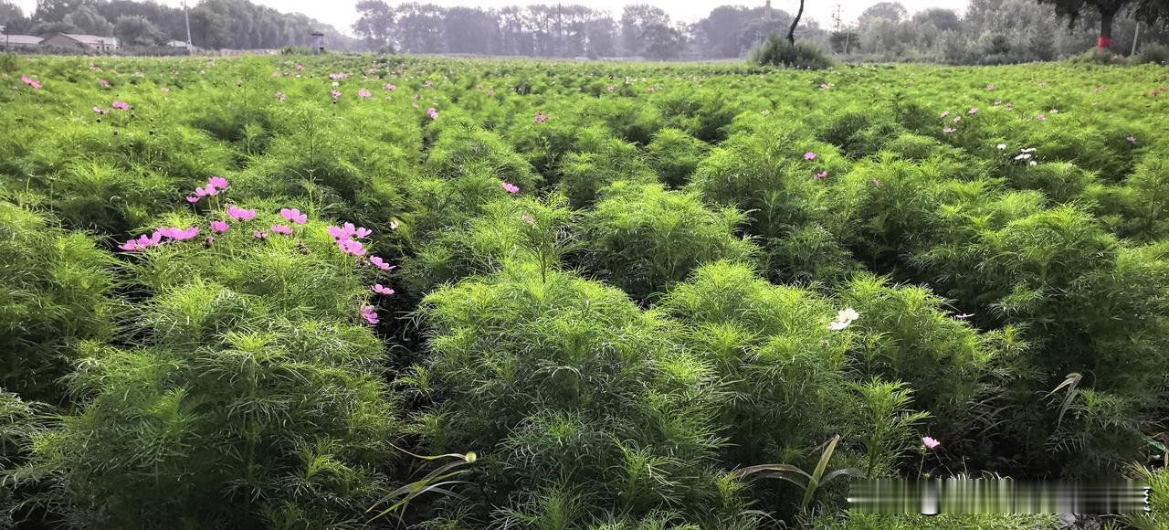 上联：耕田种地犁岁月，求下联泼墨作画染春秋