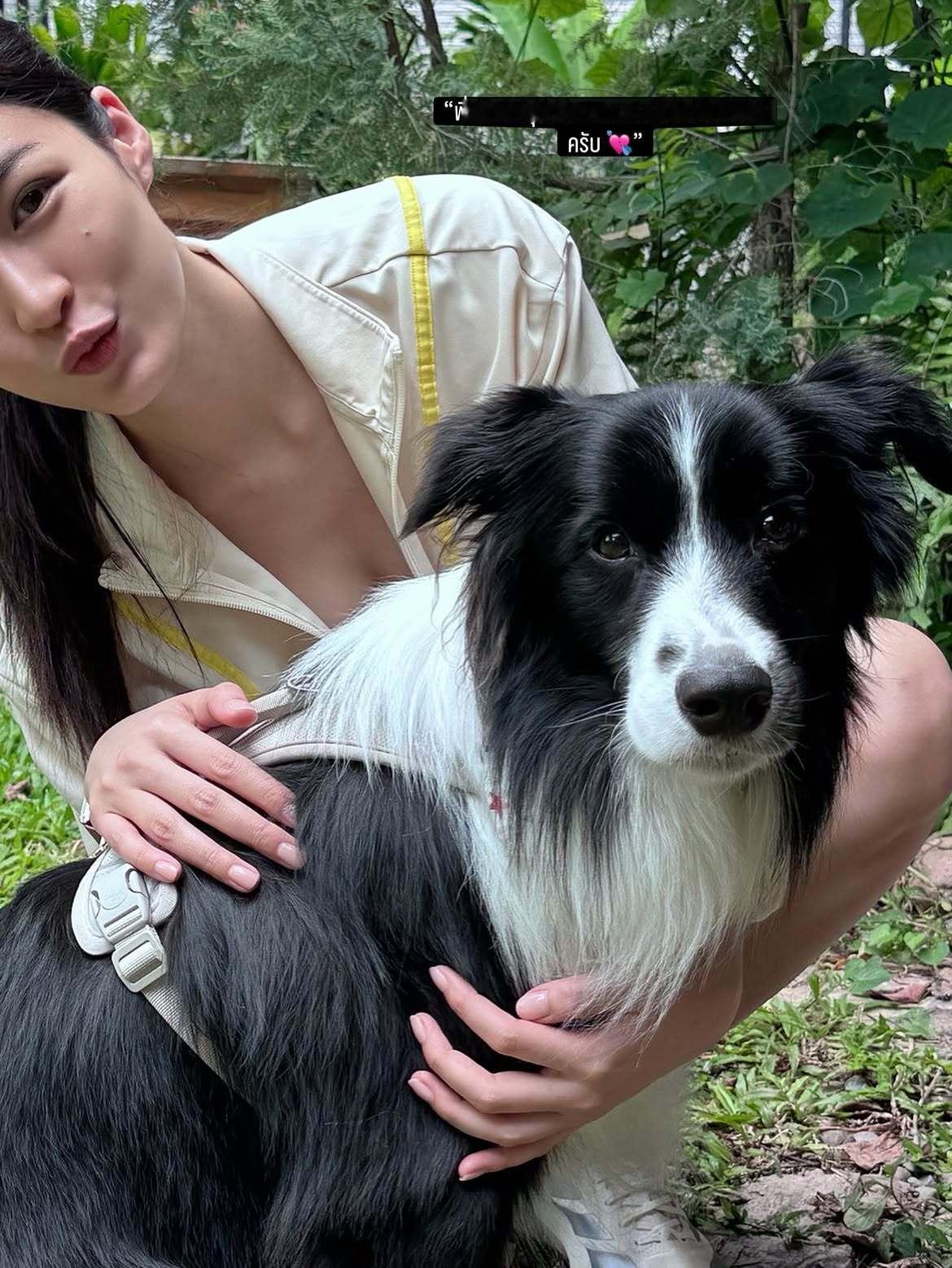 今天去和安姐一起运动了吗💬让画面来诉说安迪的情绪吧 🤍🐶Andy是good