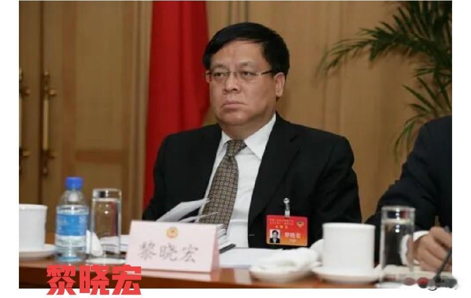 巡视利剑执剑人被查：中央巡视办原主任黎晓宏，退休9年后终落法网
 
这是中国巡视