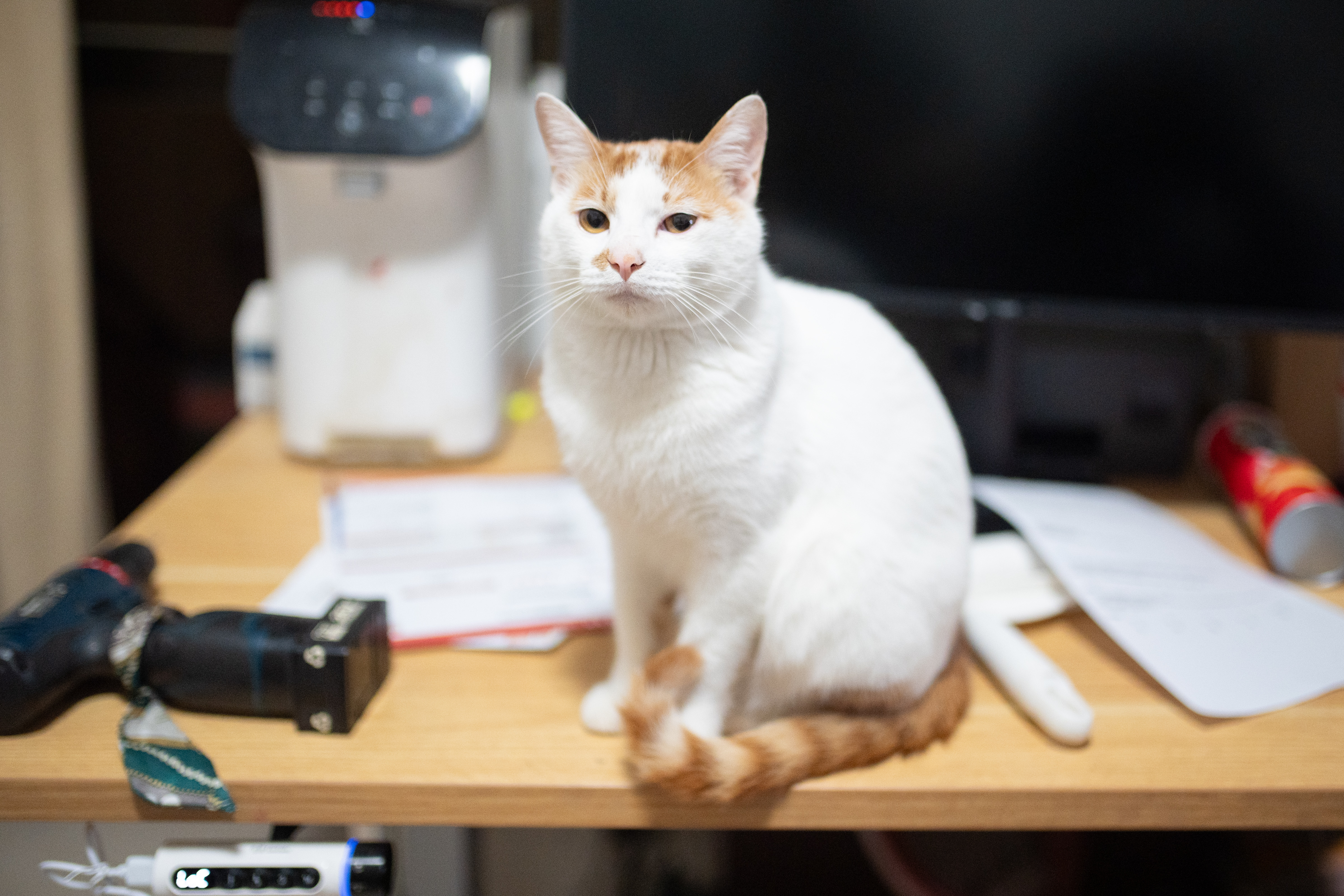 企业禁止员工在工作外的行为，我觉得是个挺弱智的事情论据如下：1.工作外的时间不属