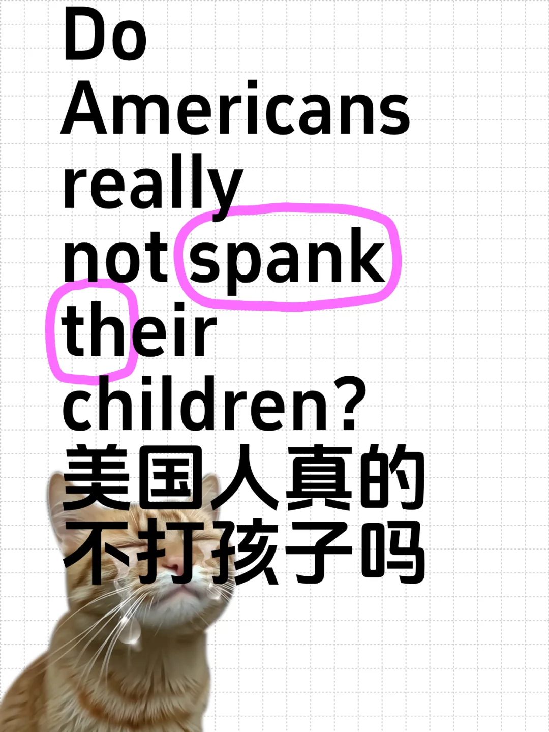 好奇发问，美国家长真的不打孩子吗？