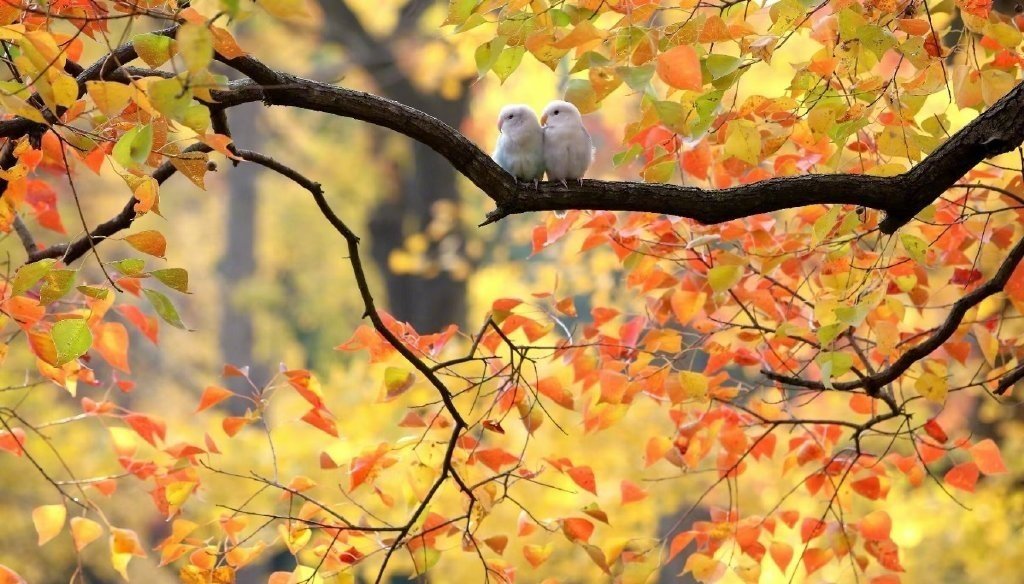 什么考试都给我过过过！！ ​​​