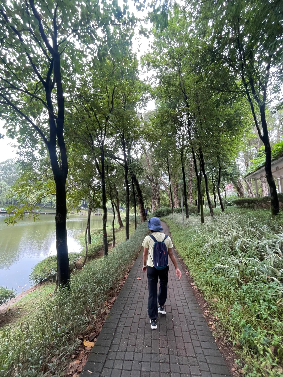 广州周末免费好去处｜麓湖公园｜精神避难之地