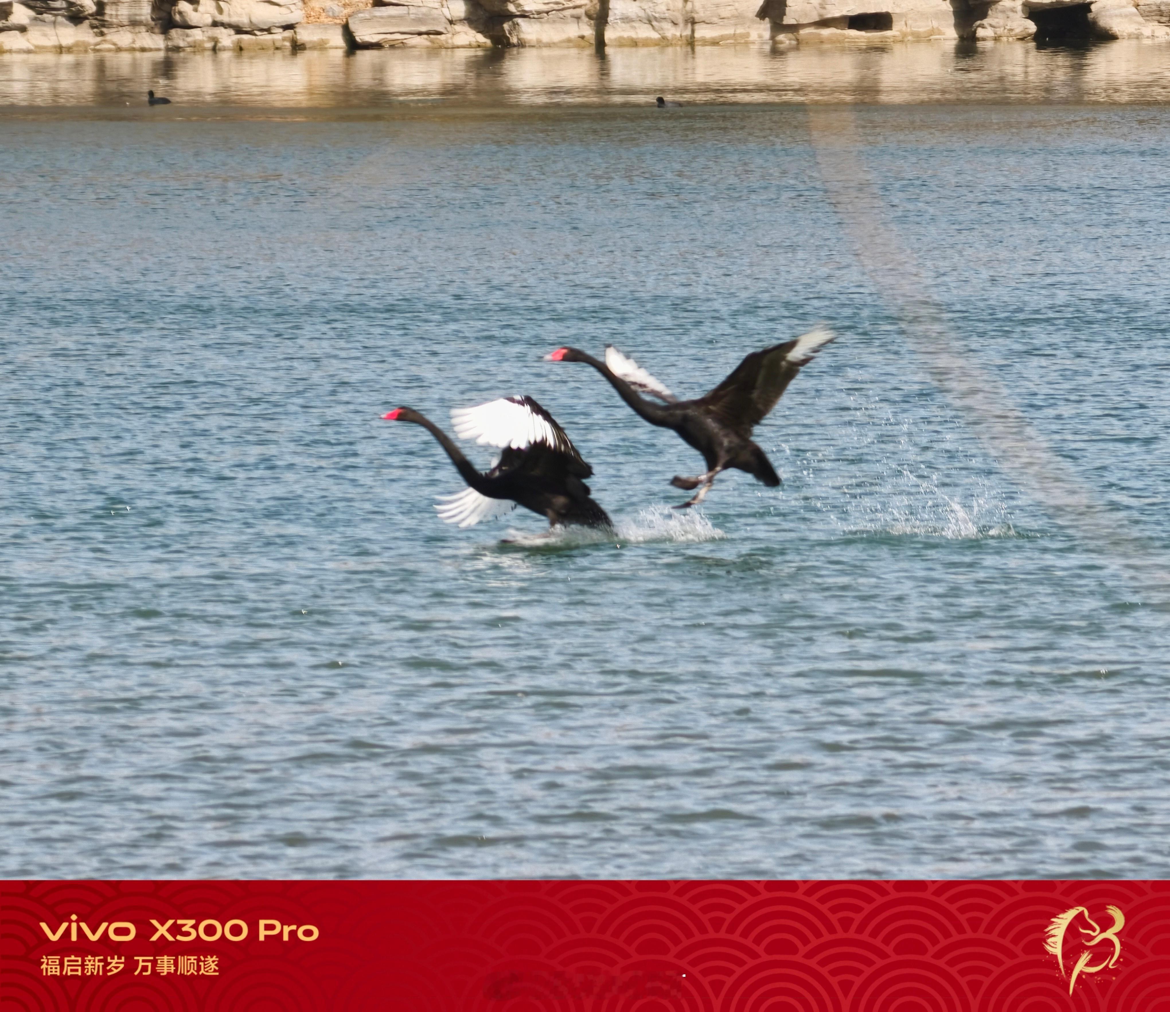 《玉渊潭的年味儿》二十四节气「立春」过后，腊月二十三北方小年，北京的天气回暖，玉