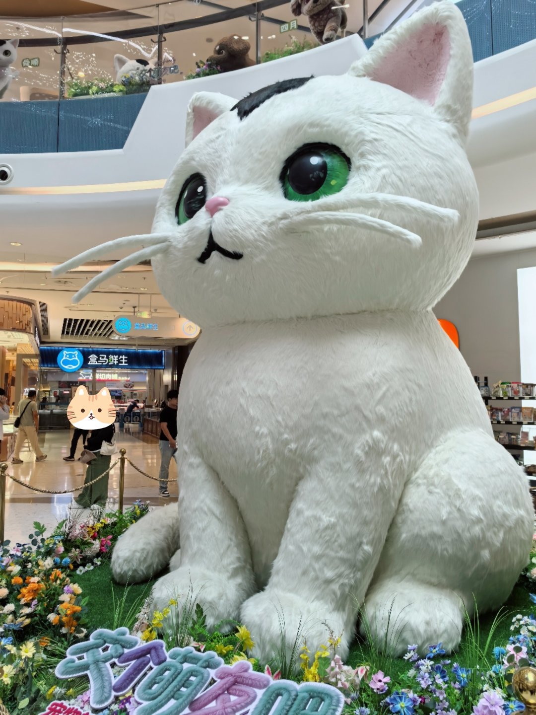 好喜欢这只大猫咪🐱 