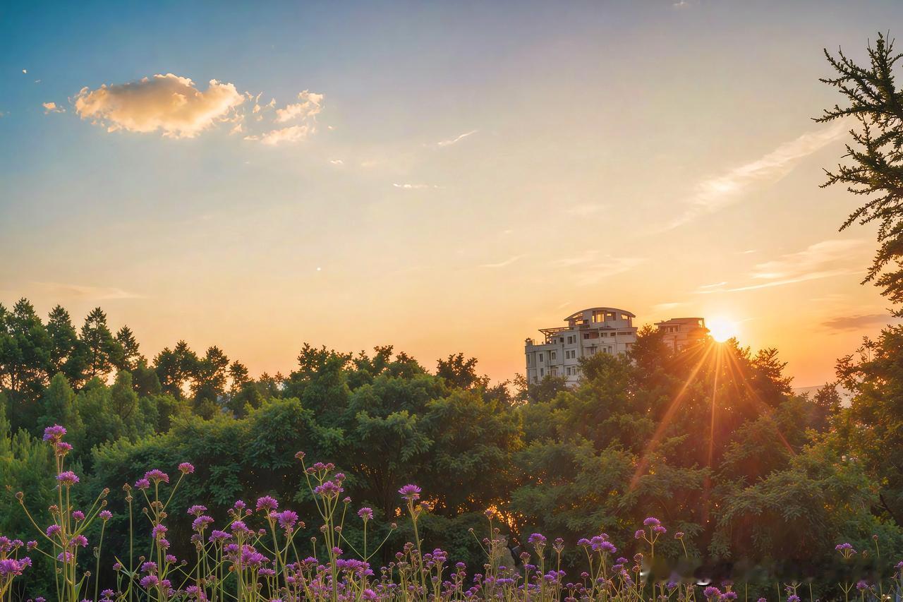 夕阳西下，城市被染成了橙红色，静谧的黄昏就像一首舒缓的歌。
我偶然走进一片紫色的
