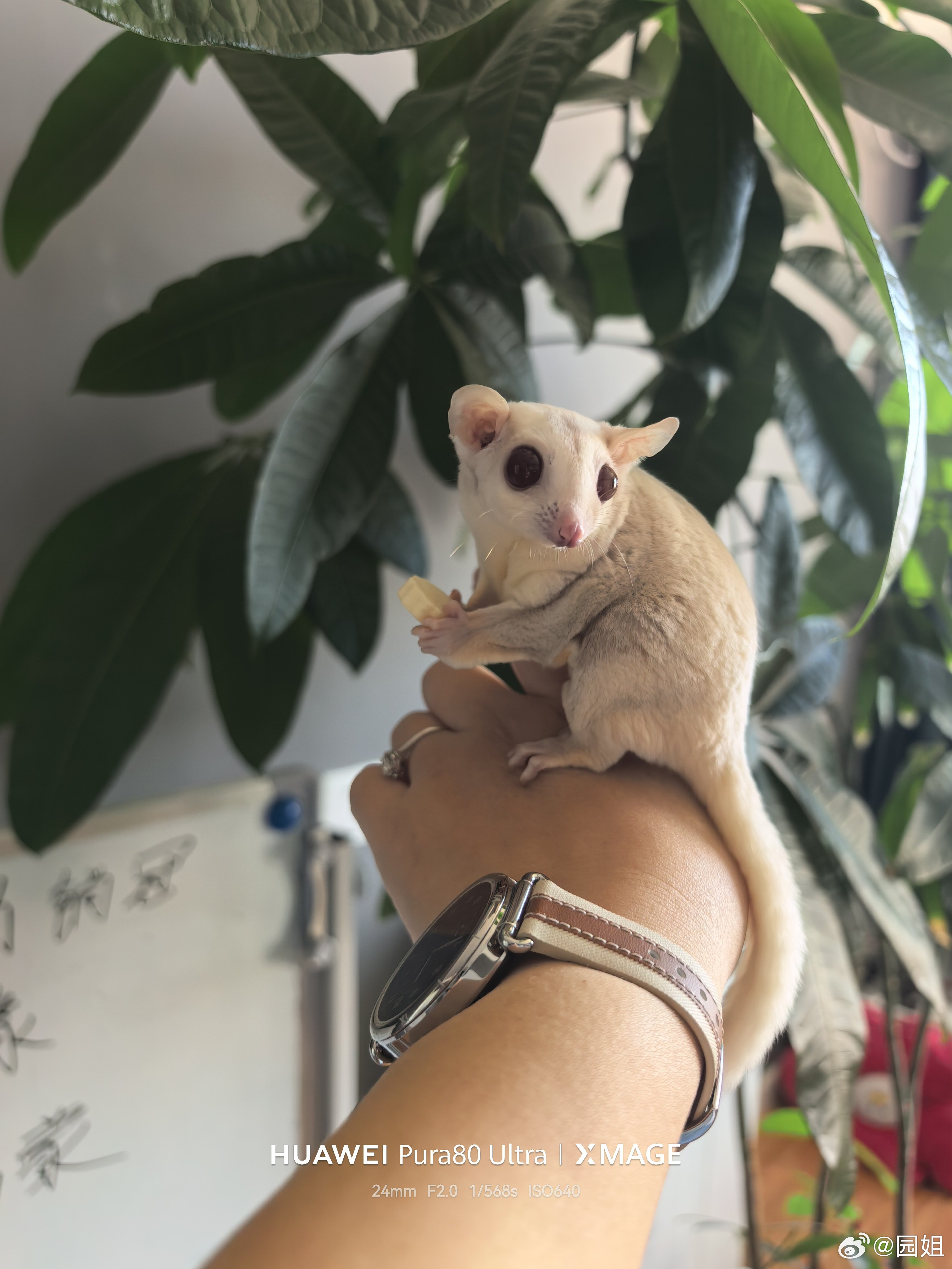 我们办公室新进员工