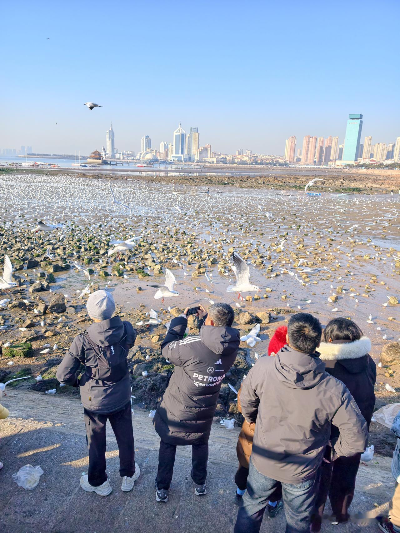 如果你乘火车到青岛玩，从青岛站步行，有这么一条线，可看海观海鸥，又能体验岛城红砖