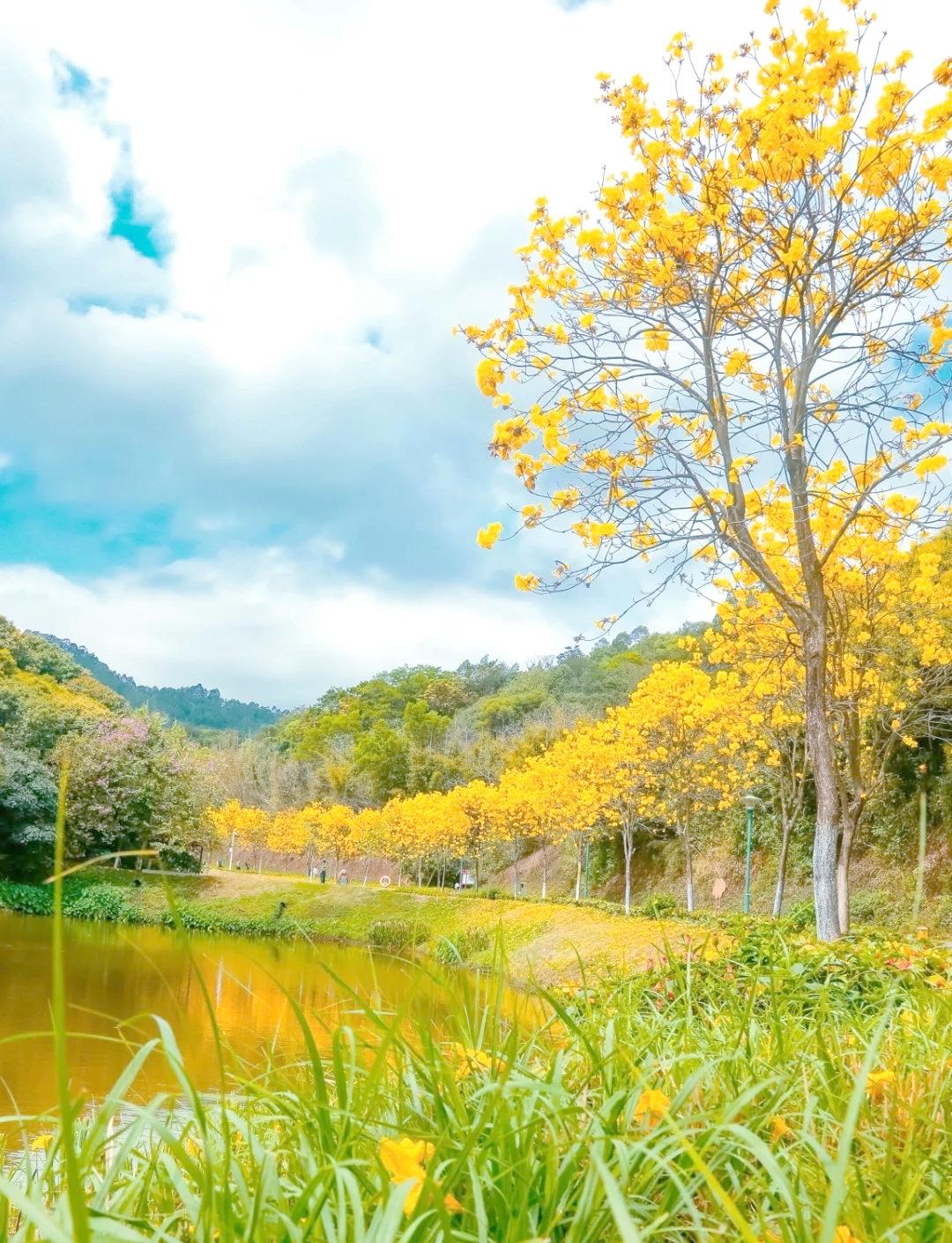 岁月渡我，皆是馈赠

人生短暂，岁月如梭。

走过的路，或平坦开阔，或曲折泥泞，