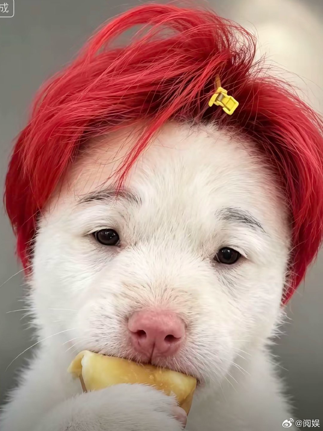 成都的朋友猜猜李荣浩在哪纯路人想入坑李荣浩， 有哪些好听的歌，第一首歌建议听什么