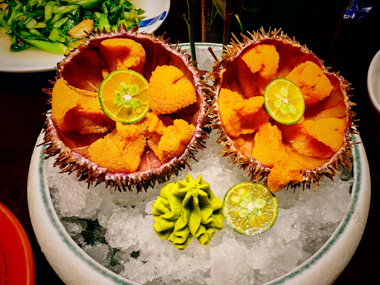 春日生活打卡季