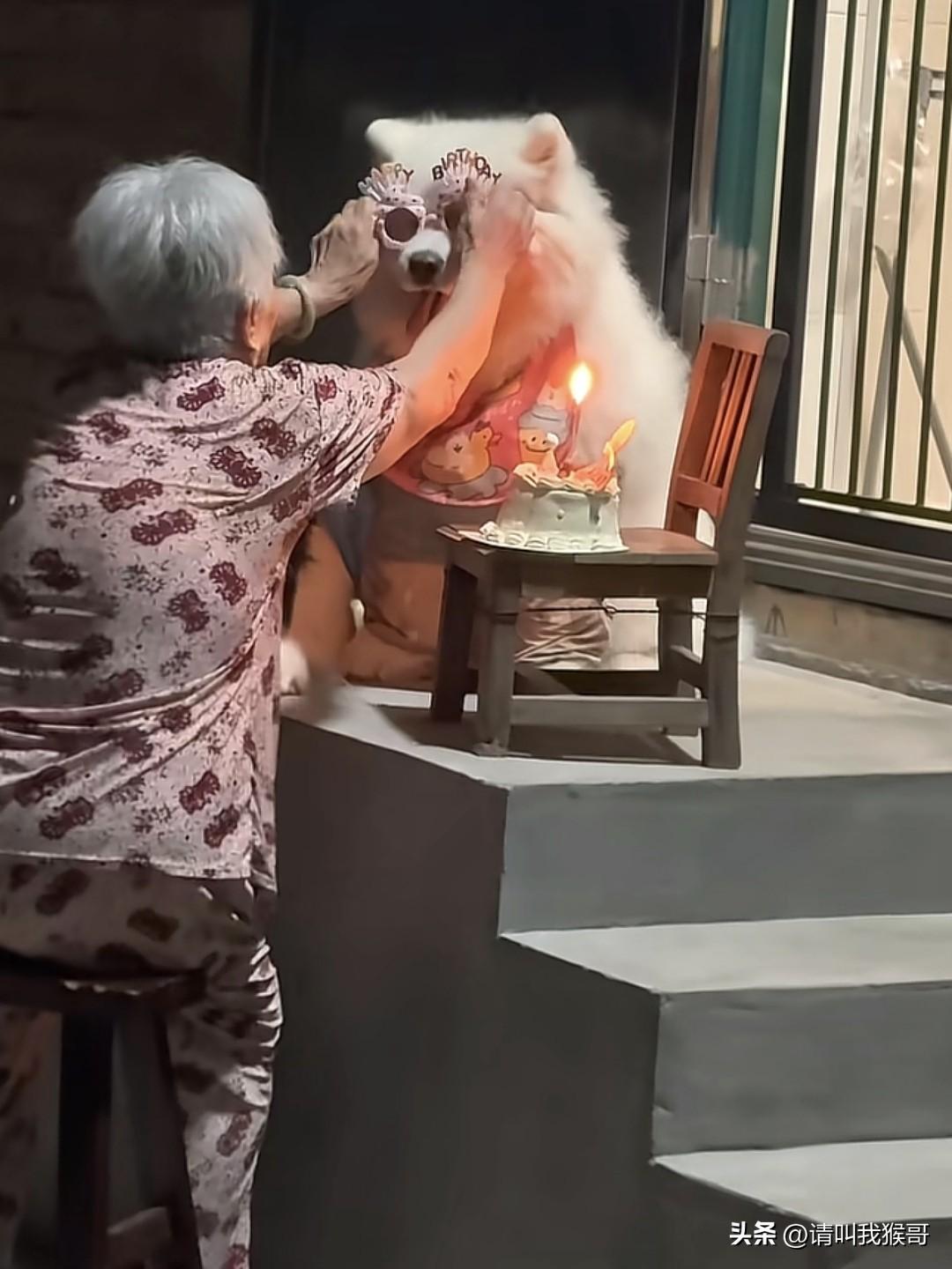 我觉得养宠物的人就应该学习这位老奶奶，在自己家别说你给狗狗过生日了，就算跟它一起
