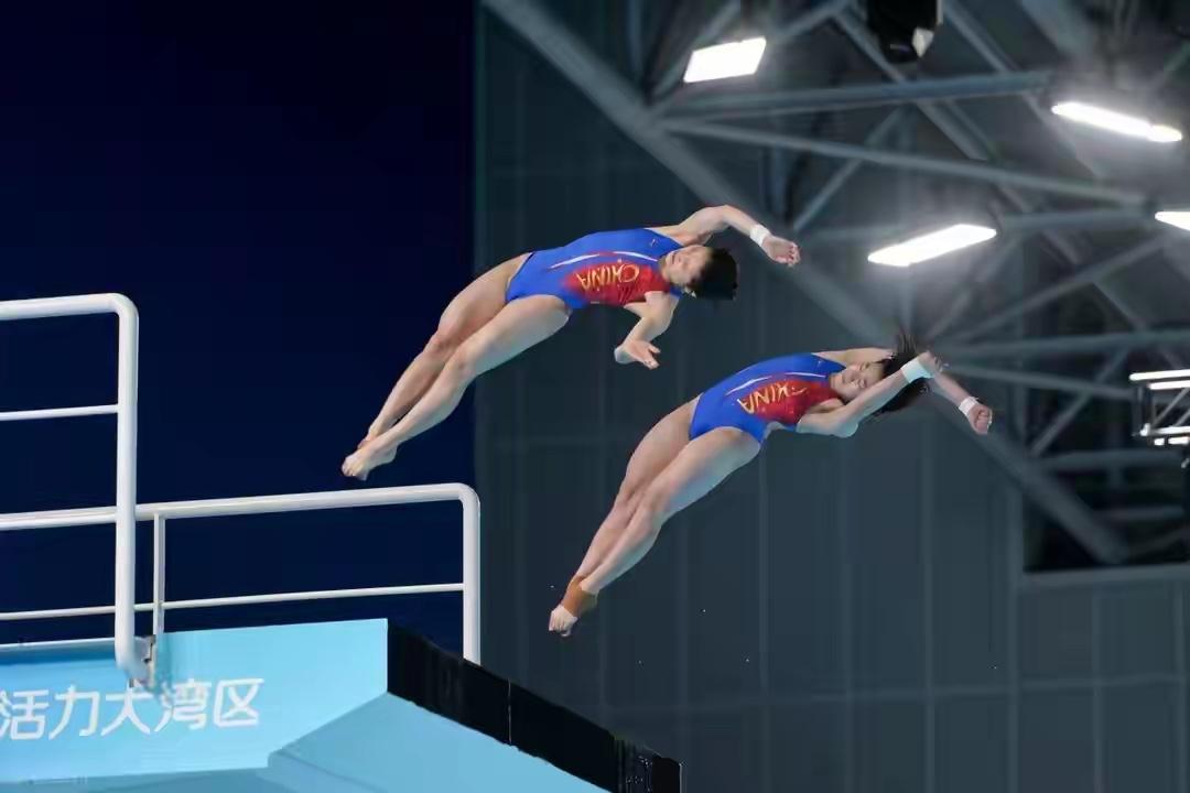 全红婵虽败犹荣！
11月6日下午，2025年第十五届全运会跳水项目的比赛继续在广
