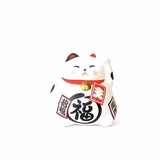 金锁爱看国际