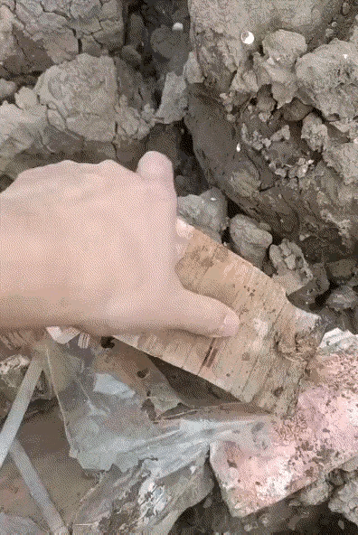 本来以为发财了～💰(。・ω・。)