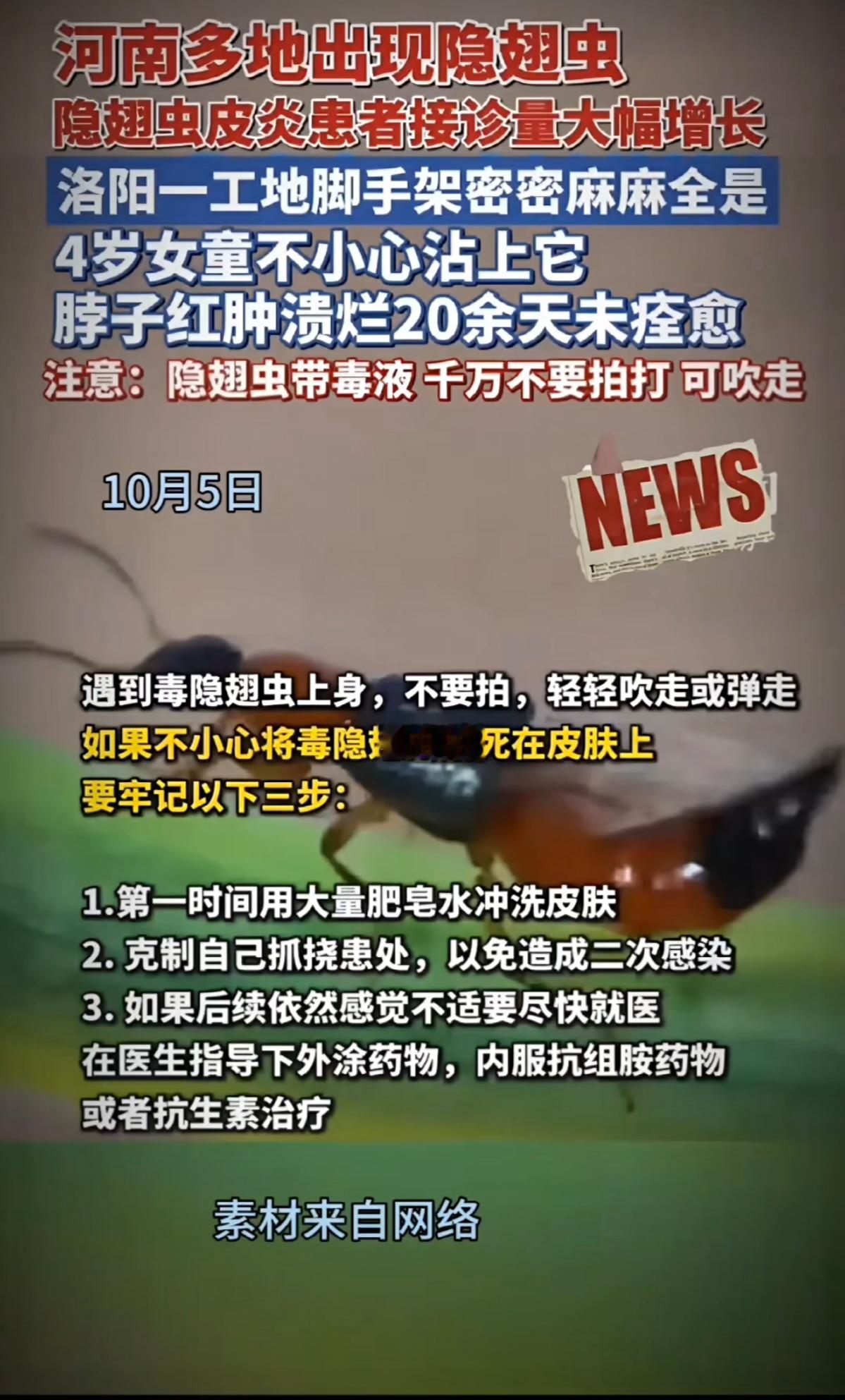 【洛阳工地惊现“虫甲风暴”！脚手架一夜变“蜂巢”，专家紧急提醒】

📍坐标河南