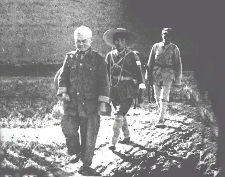 一张图片，拆穿关于康泽的谣言。

1948年7月初，中野发起襄樊战役，经过十余天