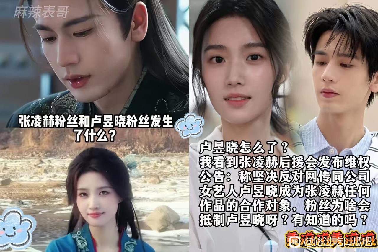 张凌赫真的是被伤的太深了，说什么也不和卢昱晓合作不是卢昱晓演技不行，而是张凌赫不