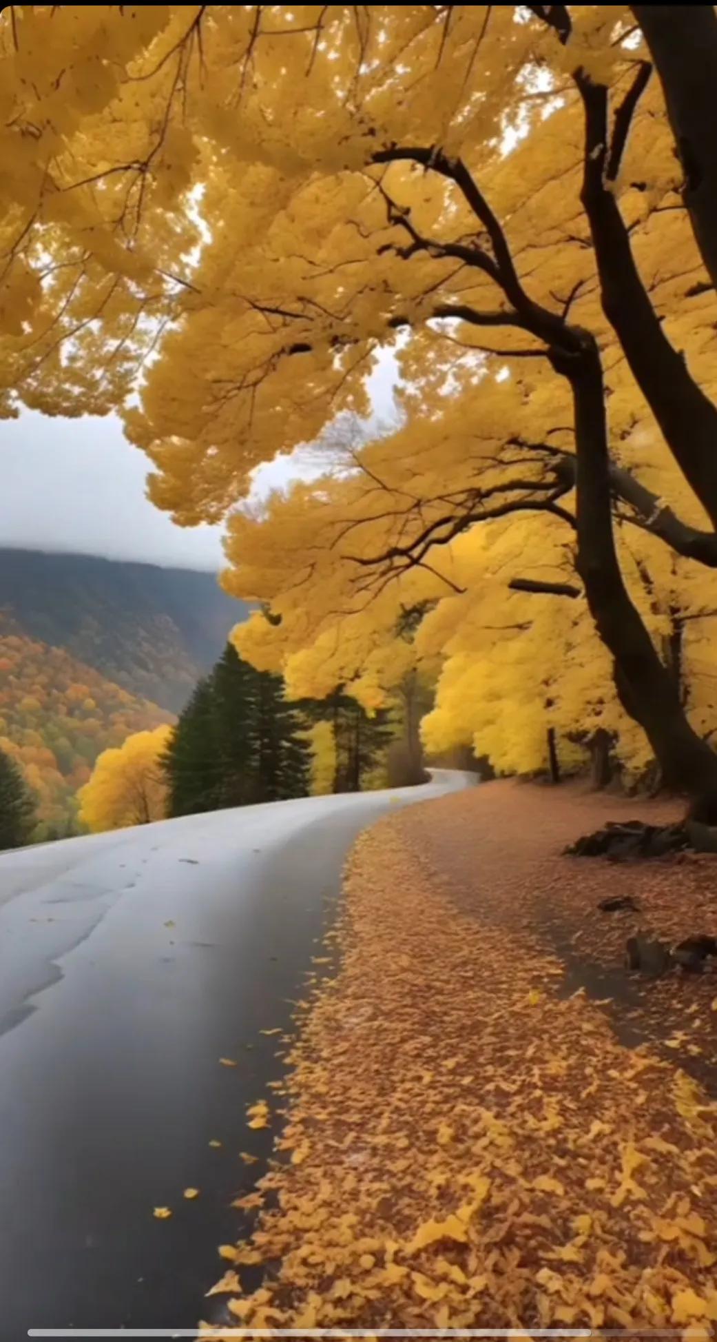 秋风起，枫叶落。#晚秋美景抓拍# #秋天美景令人醉# #秋天宁静#