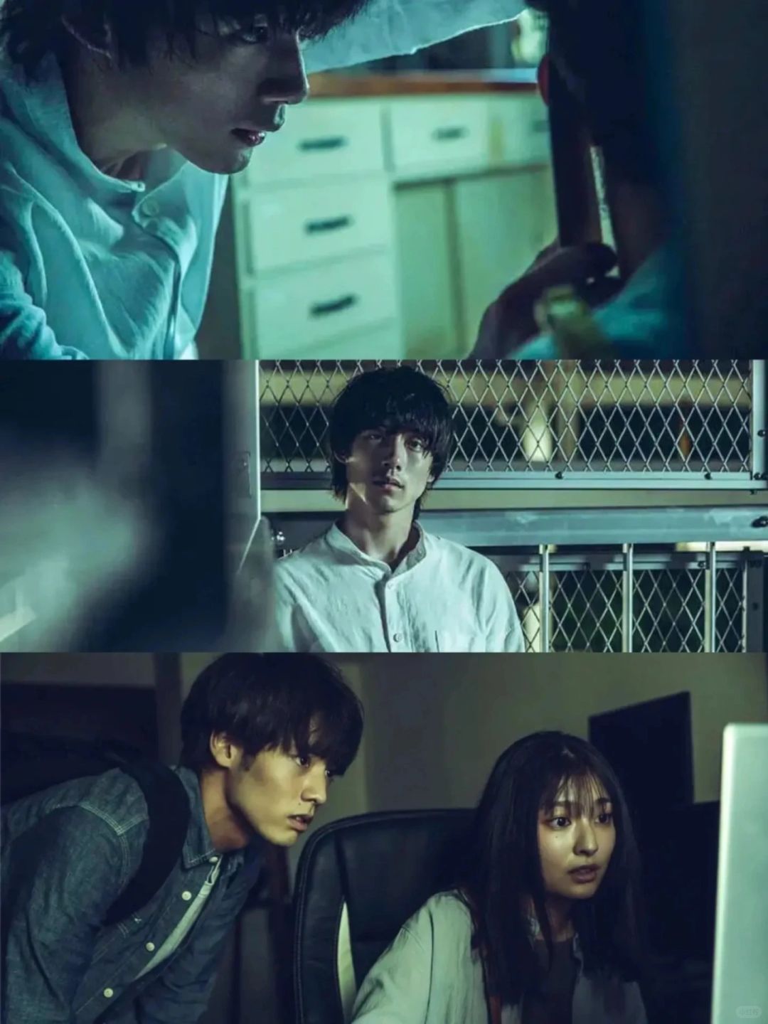 🆘鲨疯了‼️烧脑悬疑日剧‼️真的绝了❗