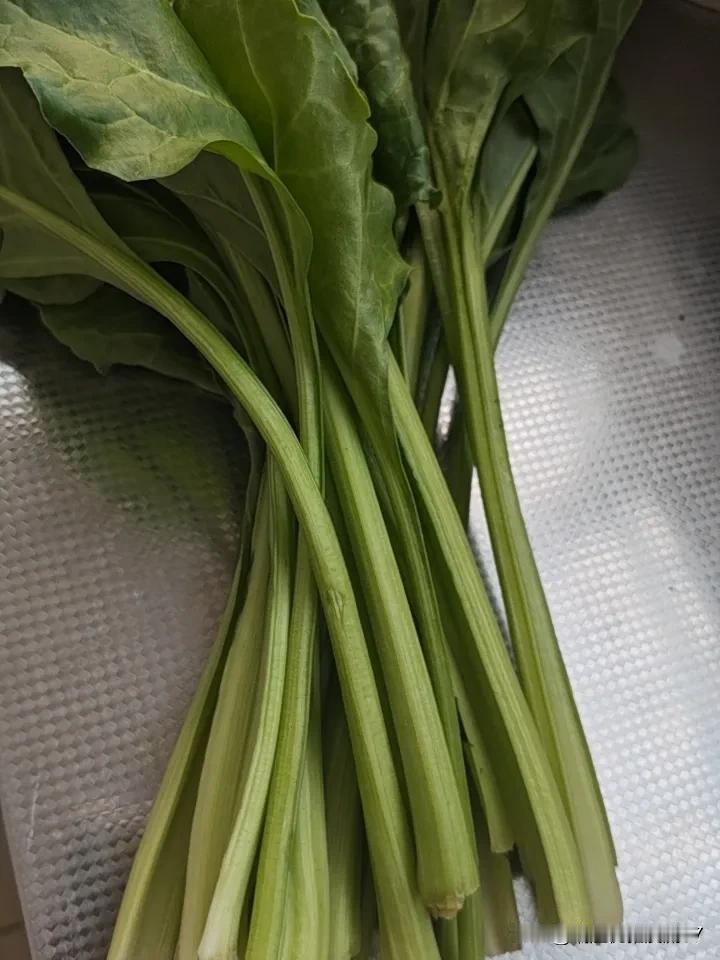 今天买菜遇到了一个真正的种小菜园的老大爷。

一看他的君达就特别新鲜， 连接口都