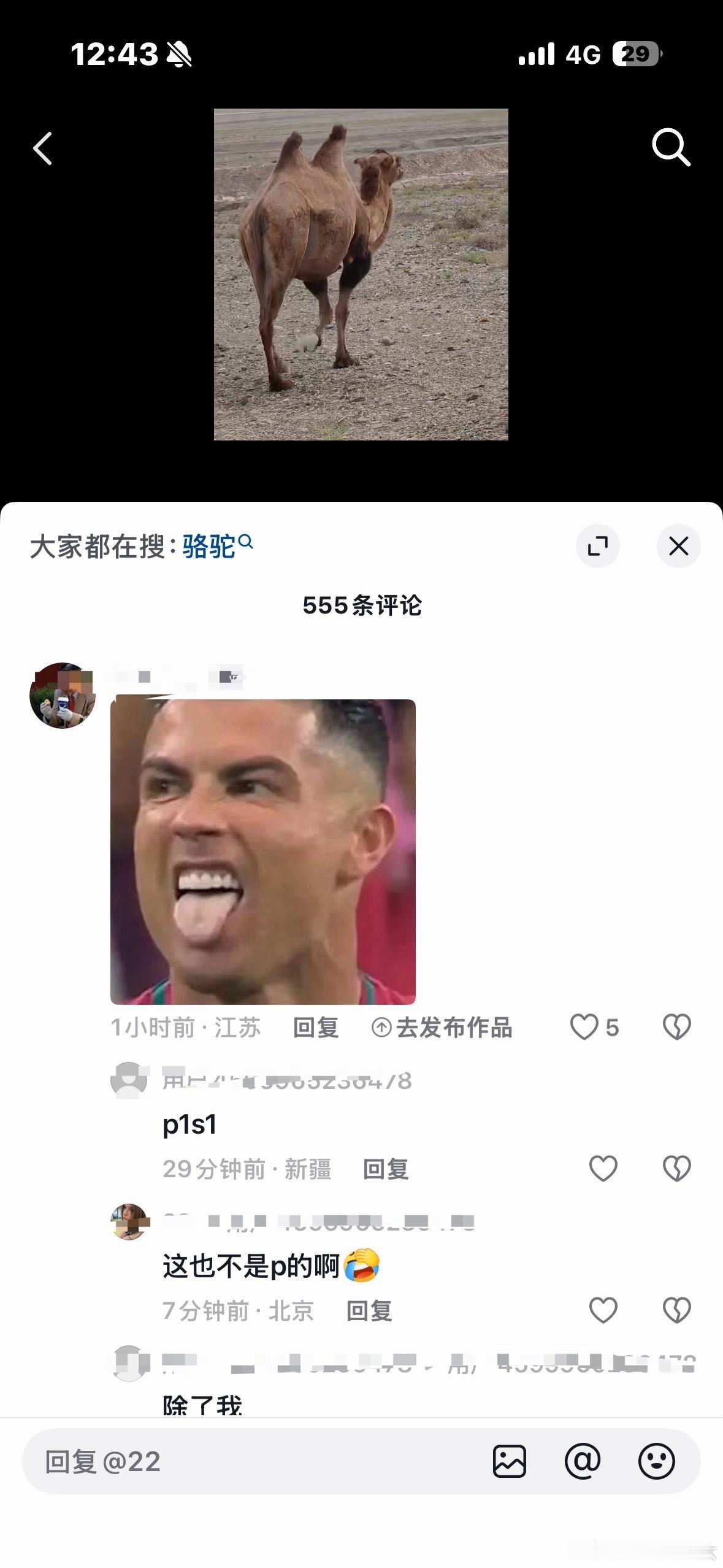 这特么是你螺哥！！！ 