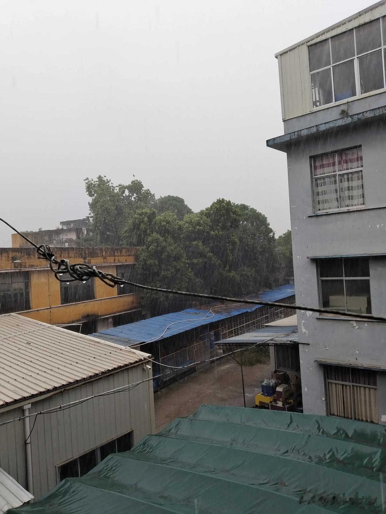 台风杜苏纳7点57分雨量突然增大，踩着预报的登入时间节点而翩翩而至，现在的科学进