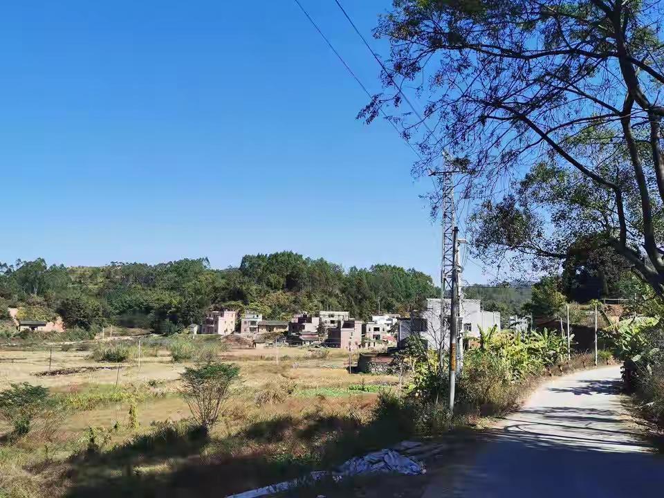 你看到“梅姨”二字时，手指是否停住了？  
并非名字有多可怕，而是——  
蓦地