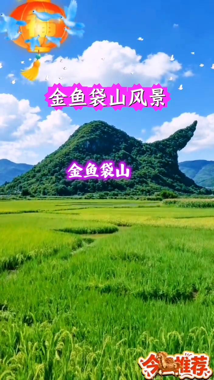 金鱼袋山风景。
金鱼袋山。