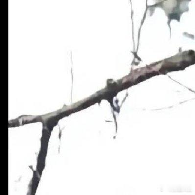 熊猫守护者 人生总是有许多的不如意，我们要放宽心。舍得舍得，有舍才有得。我们舍得