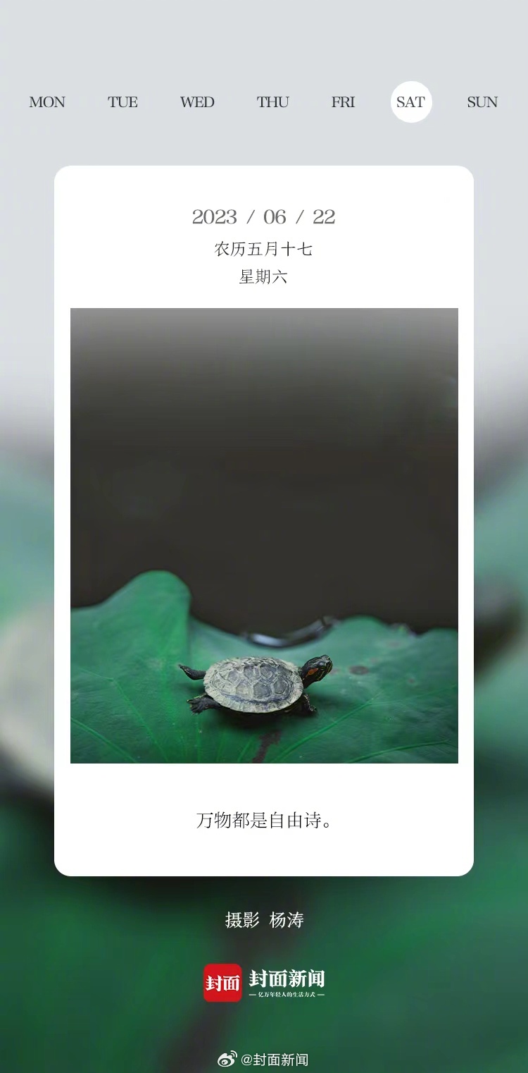 #小封日历# 早安！周六啦，起床的举手～[抱一抱] ​​​