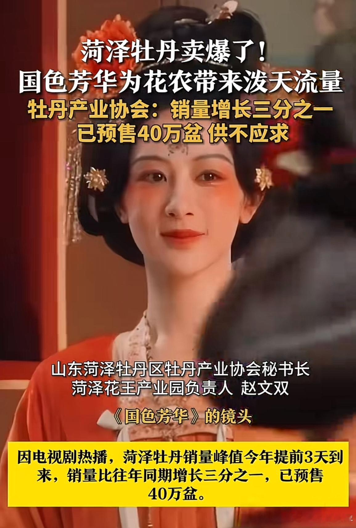 国色芳华让菏泽牡丹卖爆了 牛啊 