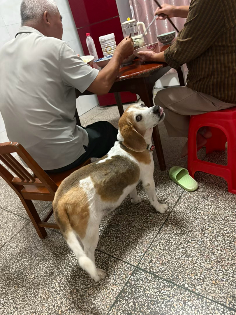 等饭的钱钱 