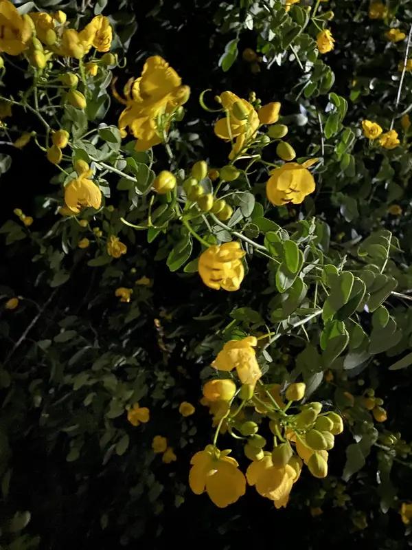 女子乳腺癌晚期本就身心煎熬，竟还被骗走85万救命钱，这简直是往伤口上撒盐！想起之