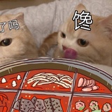 暖芋芋品品科技