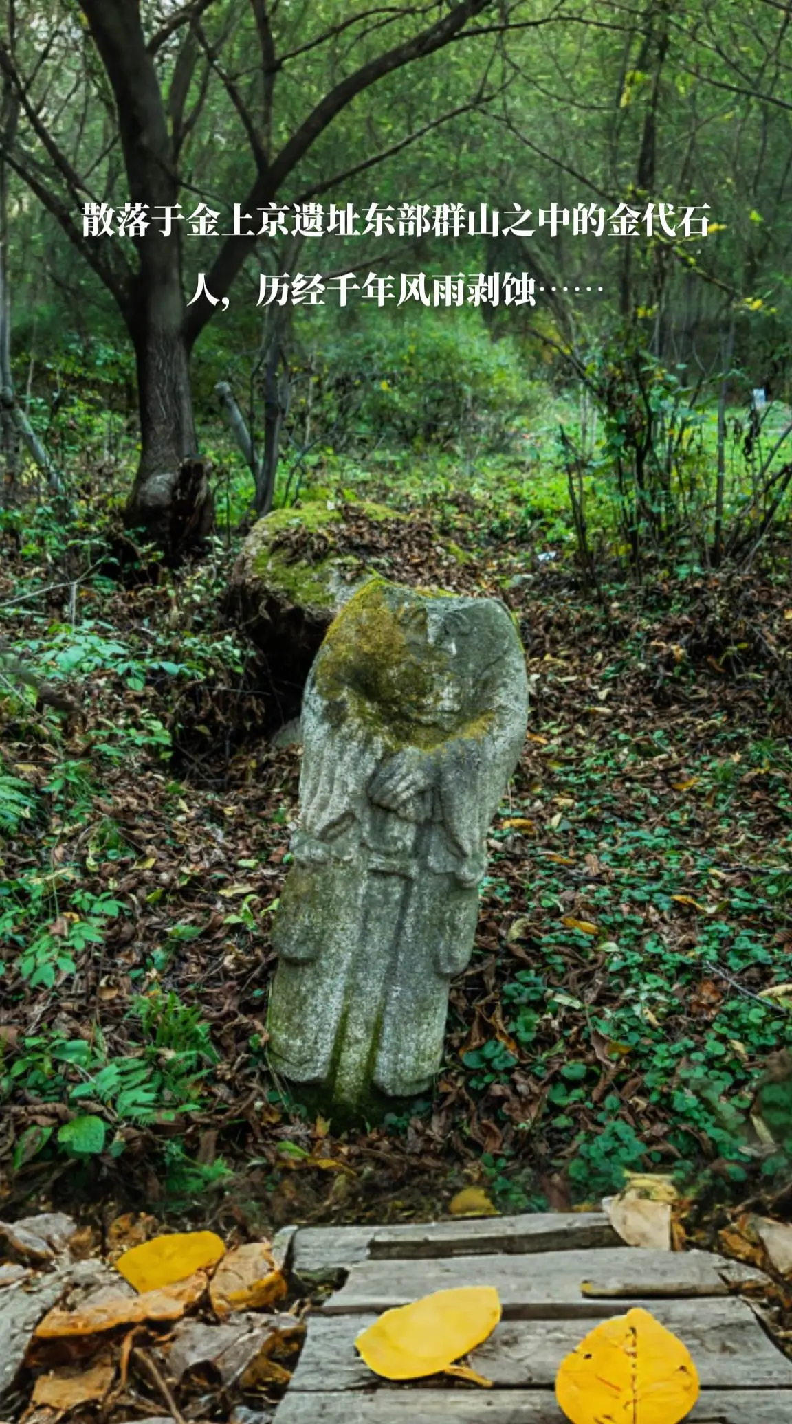 散落于金上京遗址东部群山之中的金代石人，历经千年风雨剥蚀……