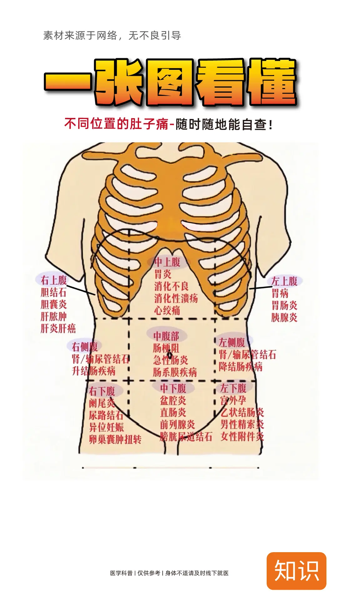 肚子疼，，看完你就知道是哪里疼