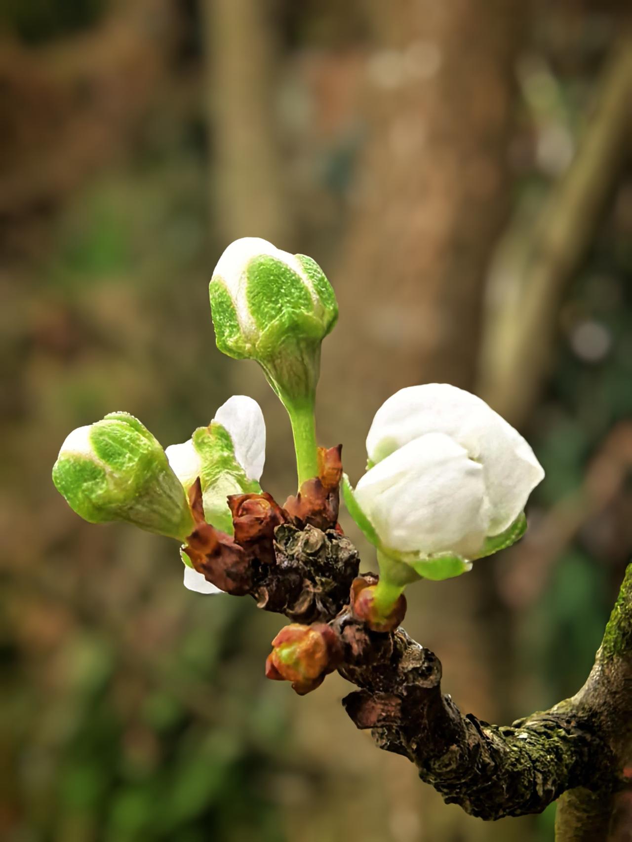 觉醒后，
不能不知道：
一切认知皆为根尘作用，
住则自迷，
无住自明。

六根作
