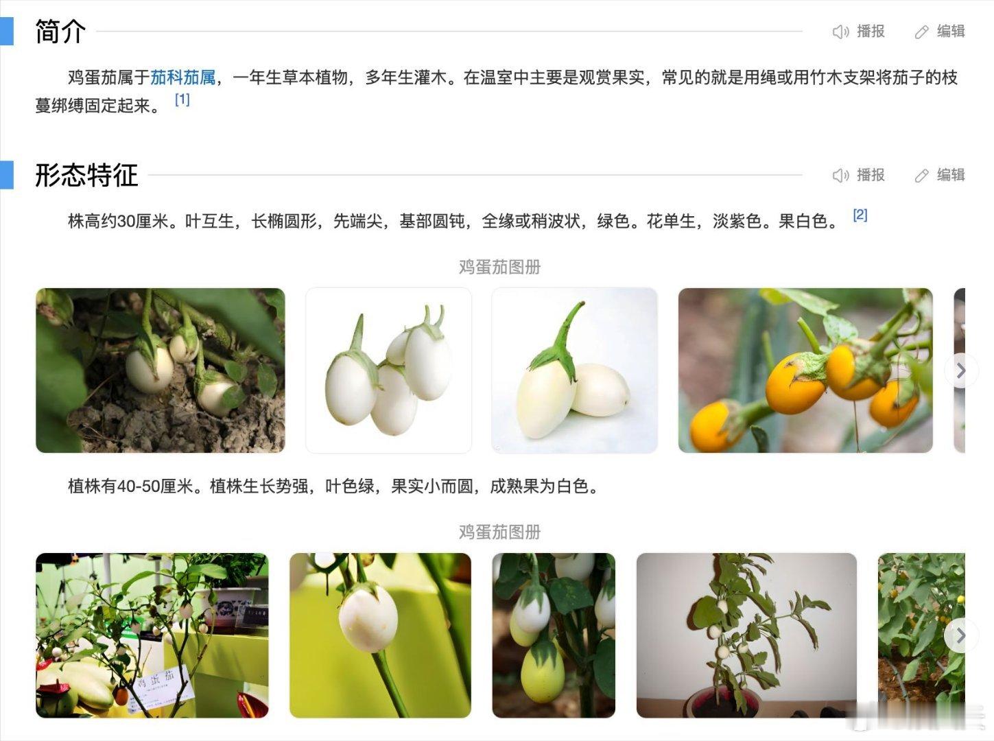 秋海棠能有多少种样子从名字到长相都脑洞大开的植物谁能想到观赏秋海棠还能进厨房！酸